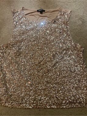 Express rose Gold/silver Sequin and pearl Top